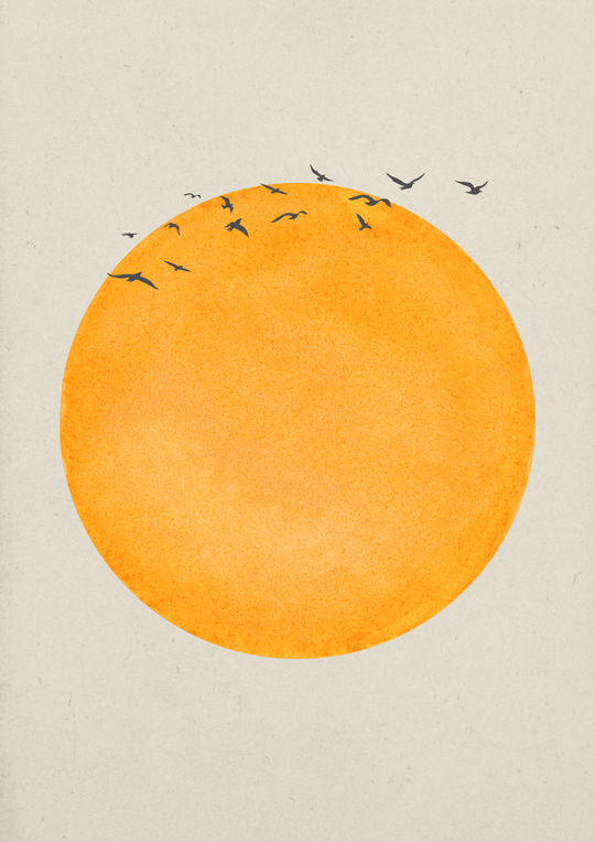 Minimalistischer Kunstdruck mit einer warmen Sonne und fliegenden Vögeln, ideal für moderne Wanddeko.