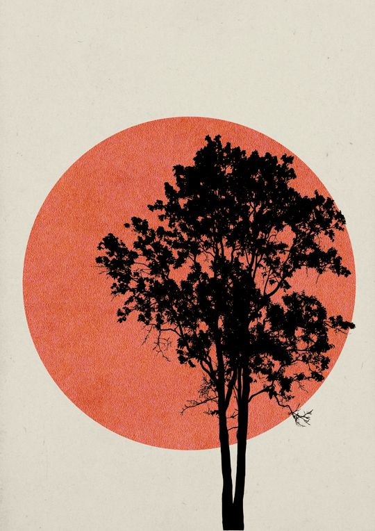 Kunstdruck Minimalistische Bäume – Silhouette eines Baumes vor einem großen, roten Kreis auf hellem Hintergrund.