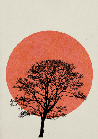 Natur Wandbild: Minimalistischer Baum vor roten Sonnenuntergang auf hellem Hintergrund, ruhige und entspannende Atmosphäre.